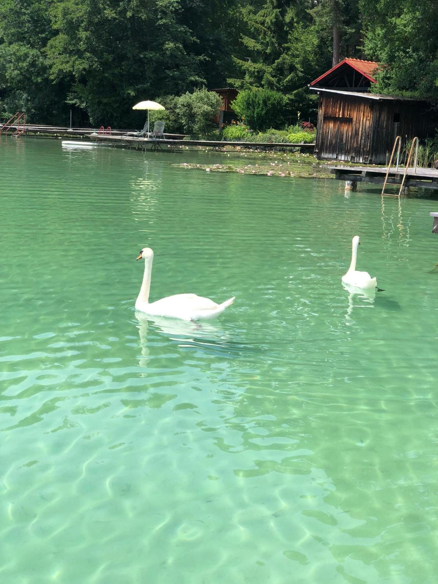 Hotel Alex Sankt Kanzian am Klopeiner See Bagian luar foto